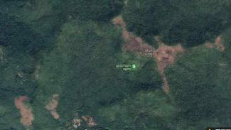Violent Forests: Indian Woodland under Naxal Threat