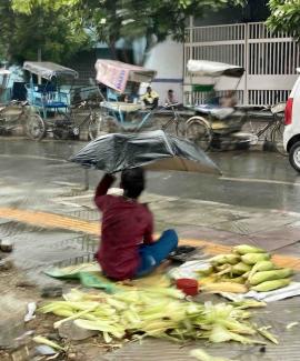 World Food Crisis: Is it a shock to development process?