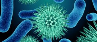 Responses to Disease Outbreak: A Perspective from India