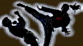 Striking at the Roots: Fighting Crime against Women through Self- Defence Training in Delhi