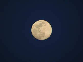 Water on the Moon