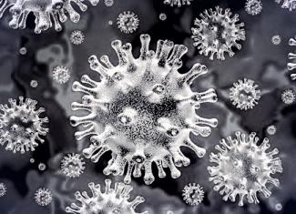 Coronavirus: Assessing the Looming Threat!