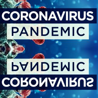 COVID-19: Failure of Collective Human intelligence