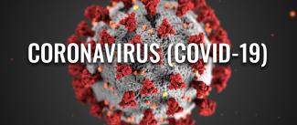 COVID-19 and Shifting Health Security Discourse