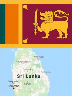 SRI LANKA: 'Presidential elections: Will minorities become Kingmakers?'