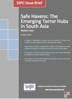 Safe Havens: The Emerging Terror Hubs in South Asia