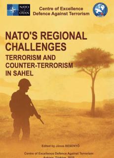 Economy of the Sahel: Challenges, Opportunities, and Geopolitical Tensions