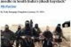 INTERVIEW: “Recent ISIS arrests are just a needle in South India’s jihadi haystack”