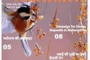 पर्यावरण Perspective, "Prevent, Halt and Restore Ecosystems"